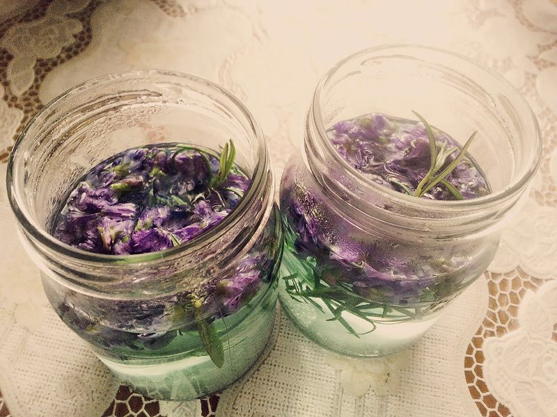 Fialky zalejeme horúcou vodou